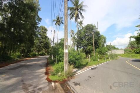 Site