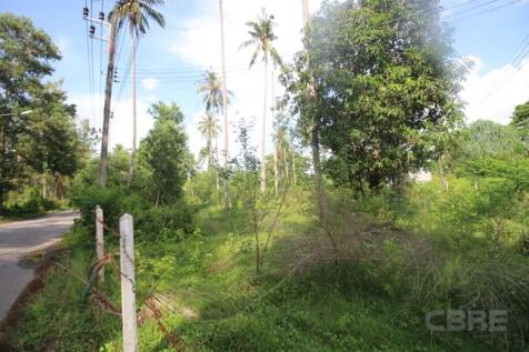 Site