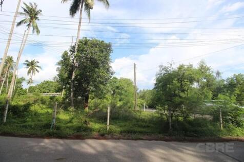 Site