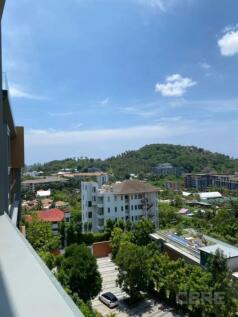 Views from terrace