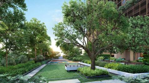 Sensory Garden