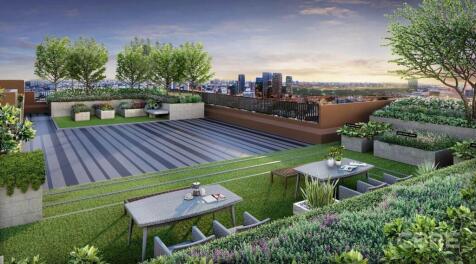 Rooftop Garden
