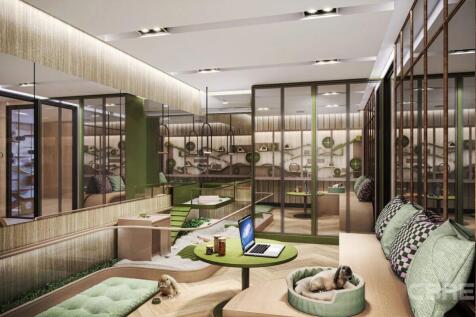 Cat - Haus &amp; Multi - Pet Play Room