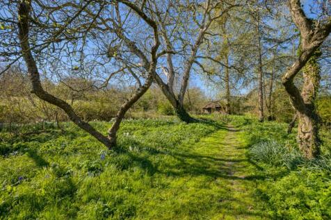 Property Image 21