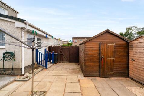Back garden