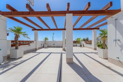 Roof Terrace