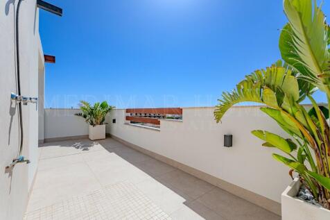 Roof Terrace