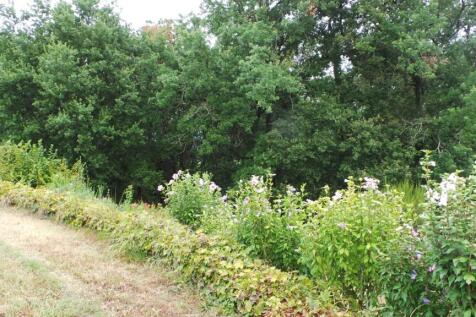 Property Image 24