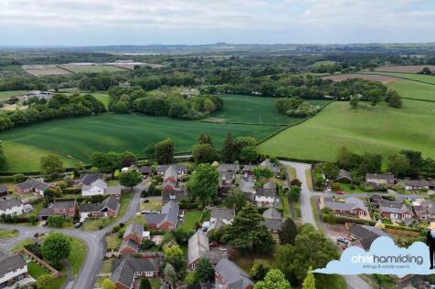 DJI_0099.00_01_20_19.Still136.jpg