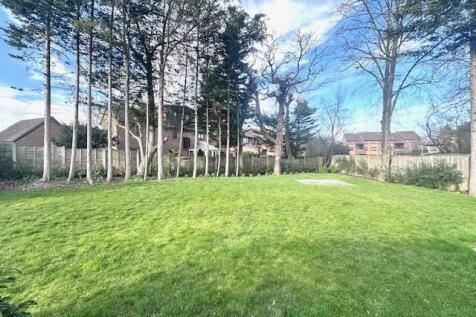 garden.jpg