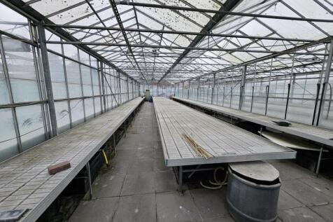 Marsden Nurseries (1