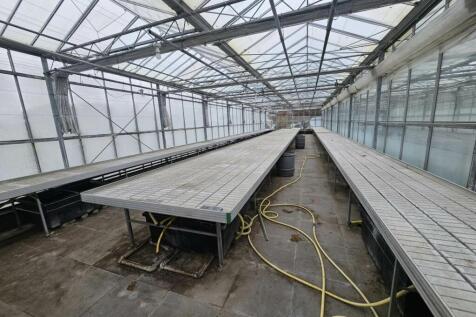 Marsden Nurseries (4