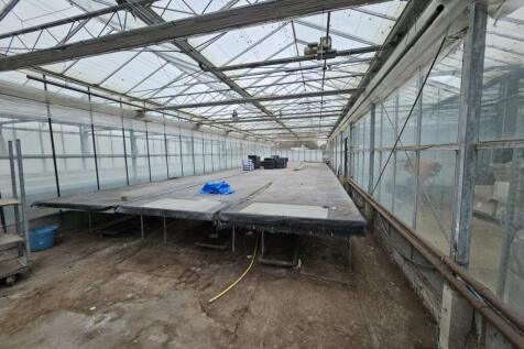 Marsden Nurseries (7