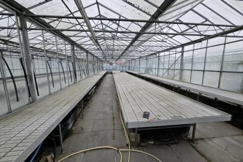 Marsden Nurseries (1