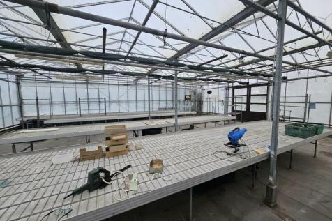 Marsden Nurseries (1