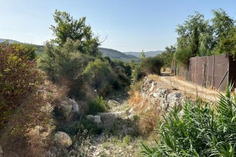Property Image 61