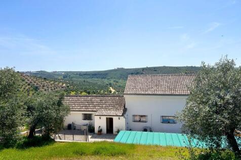 Property Image 36