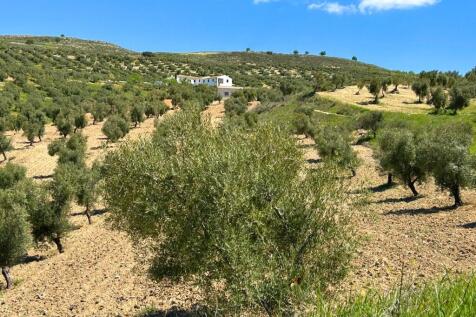 Property Image 62