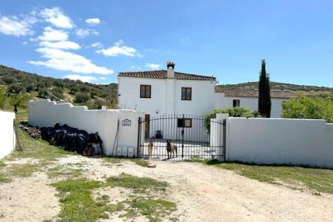 Property Image 64