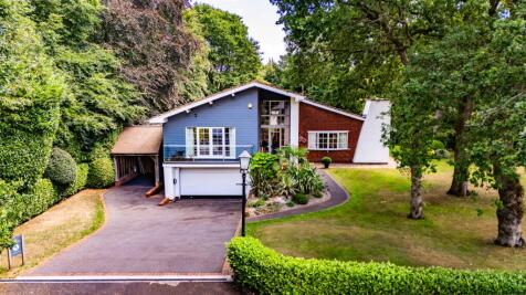 Property Image 43