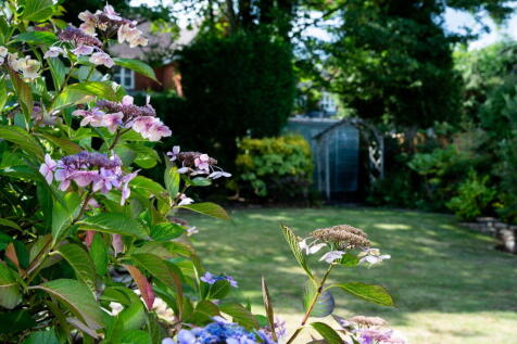 Property Image 32
