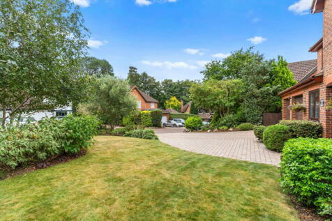 Property Image 41