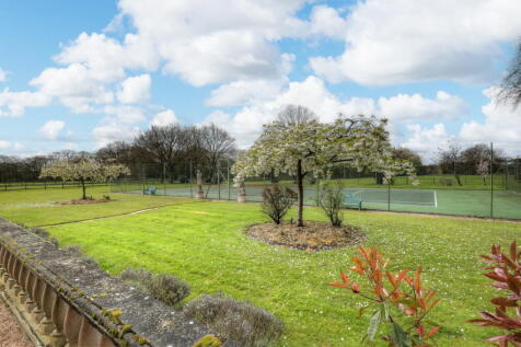 Property Image 64