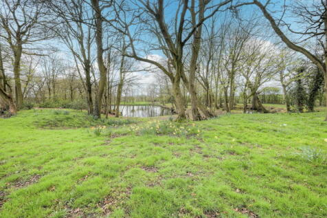 Property Image 83