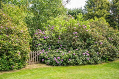 Property Image 73