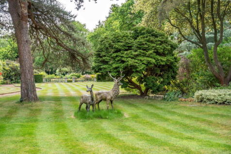 Property Image 74