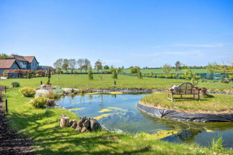 Property Image 65