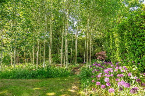 Property Image 58