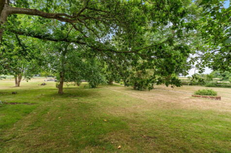Property Image 46