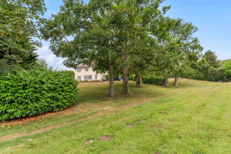 Property Image 46
