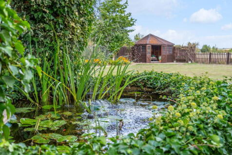 Property Image 46