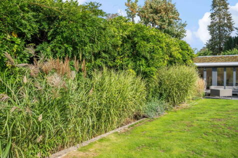 Property Image 81