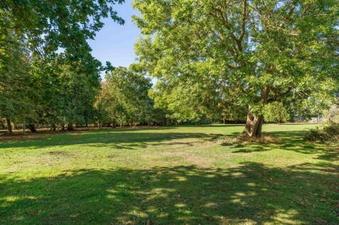 Property Image 60