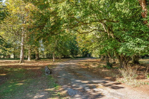 Property Image 61