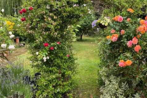 Property Image 17