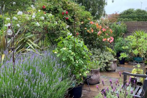 Property Image 24