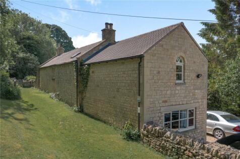Back Of The House