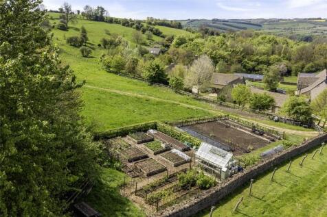 Vegetable Area