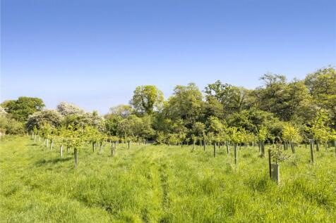 Plantation