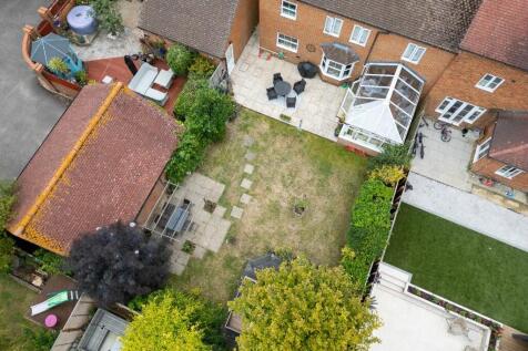 Back Garden