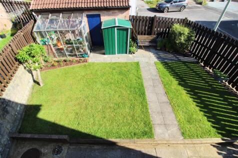Rear lawn from window.JPG