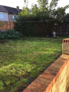 Garden.jpg