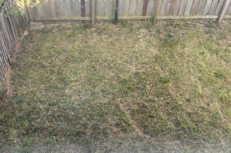Garden.jpg