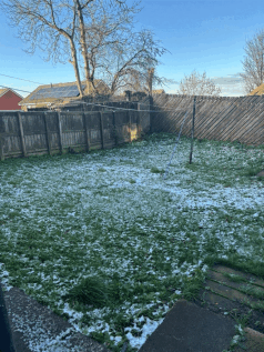 Garden.gif