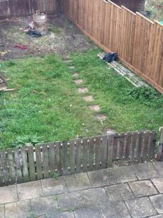 Garden.jpg