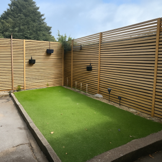 Back Garden